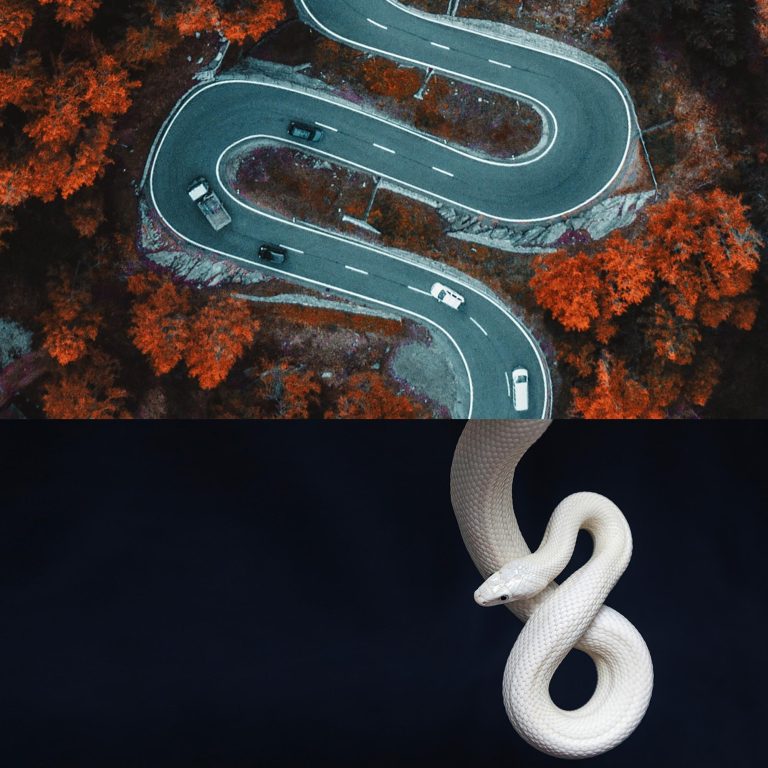 Slang weg